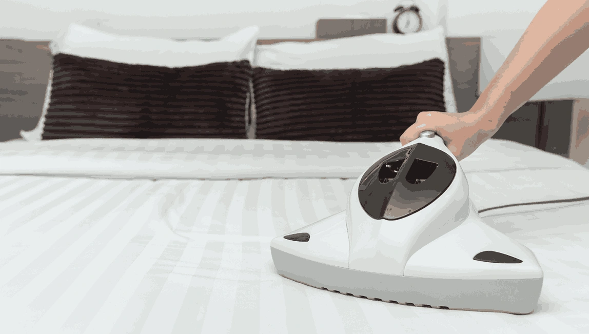 Professional Mattress Cleaning Niddrie